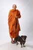 รูปภาพ 8
