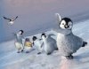 เกมส์ Happy Feet 2  Ice Sliding