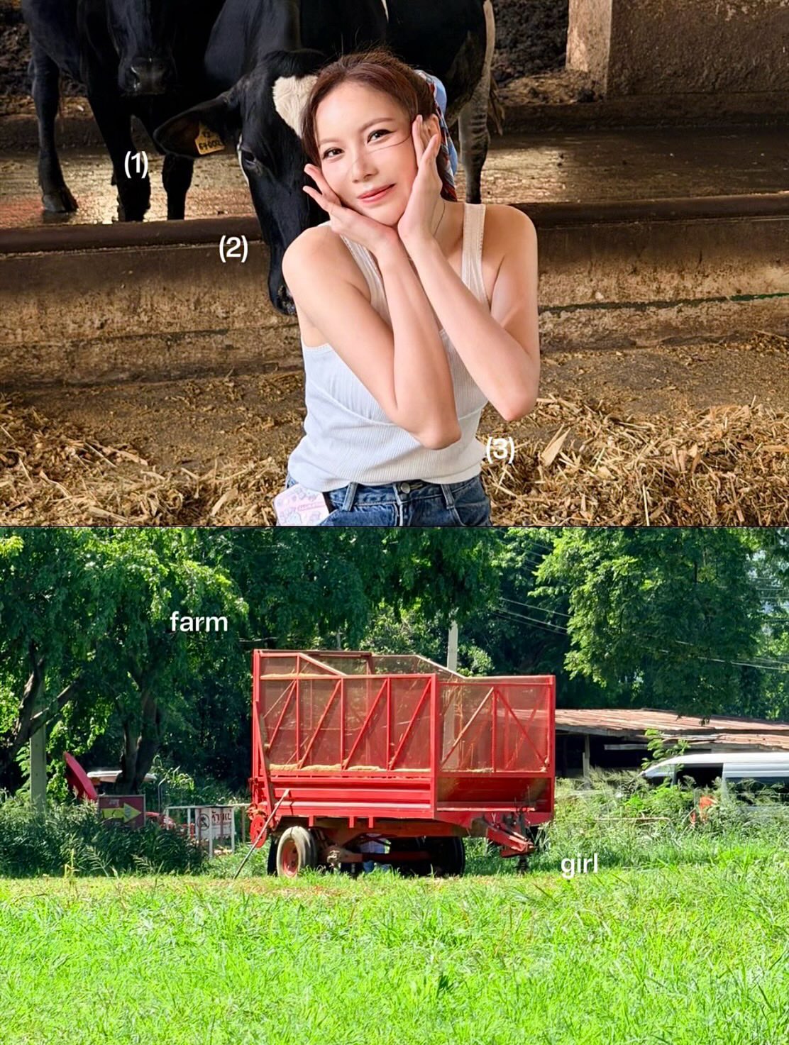 มุก - วรนิษฐ์ ถาวรวงศ์