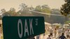 The End of Oak Street picture